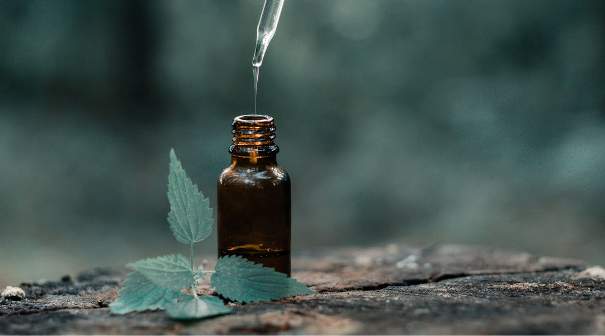 essential oil bottle in nature